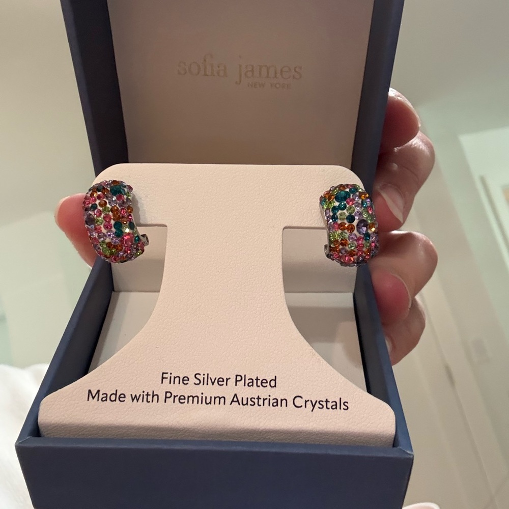 Multicolor Crystal Earrings